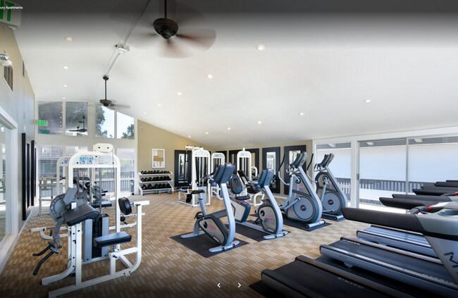Full gym facilities - 303 Masters Ct