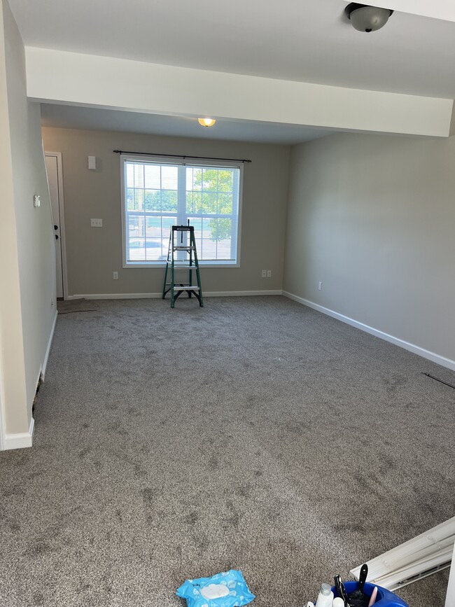 New carpet throughout. Living room - 2 Henry St