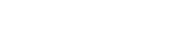 The Bleznak Organization