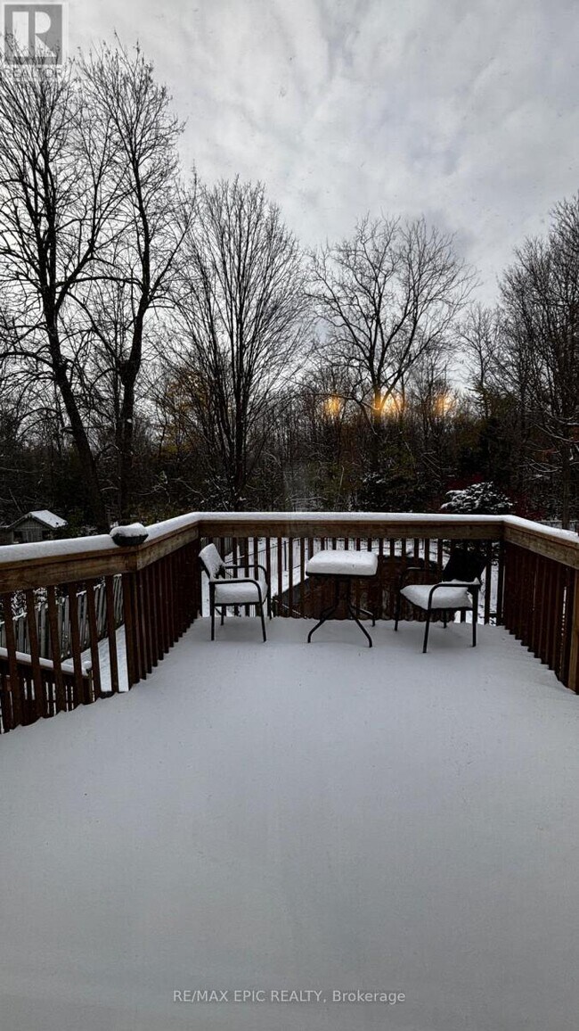 Photo du bâtiment - 24 Cairns Dr