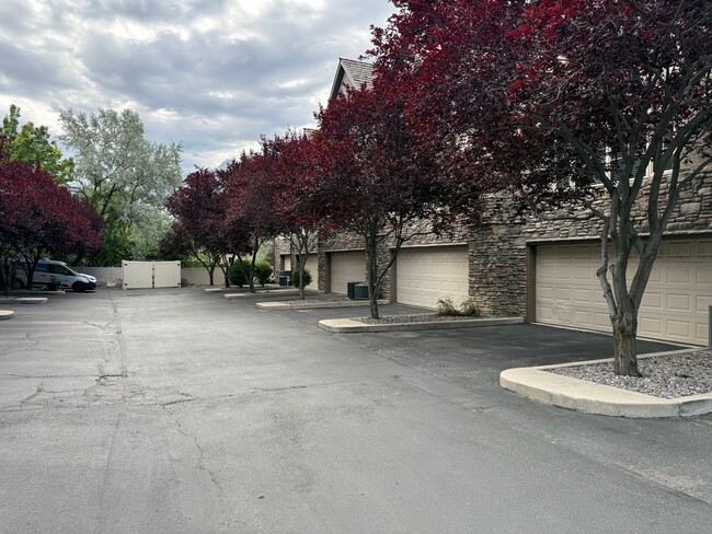 Building Photo - 1361 Mossy Springs Ln