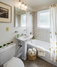 Stony Brook Commons photo'