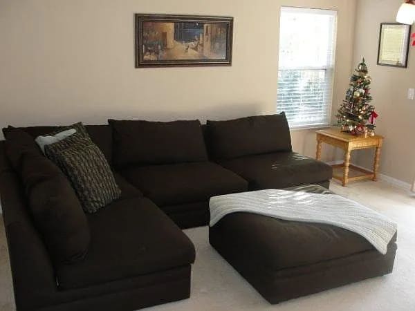 Living Room - 2537 Harn Blvd