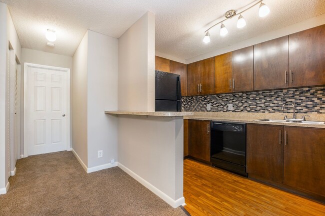 Interior Photo - Coral Falls