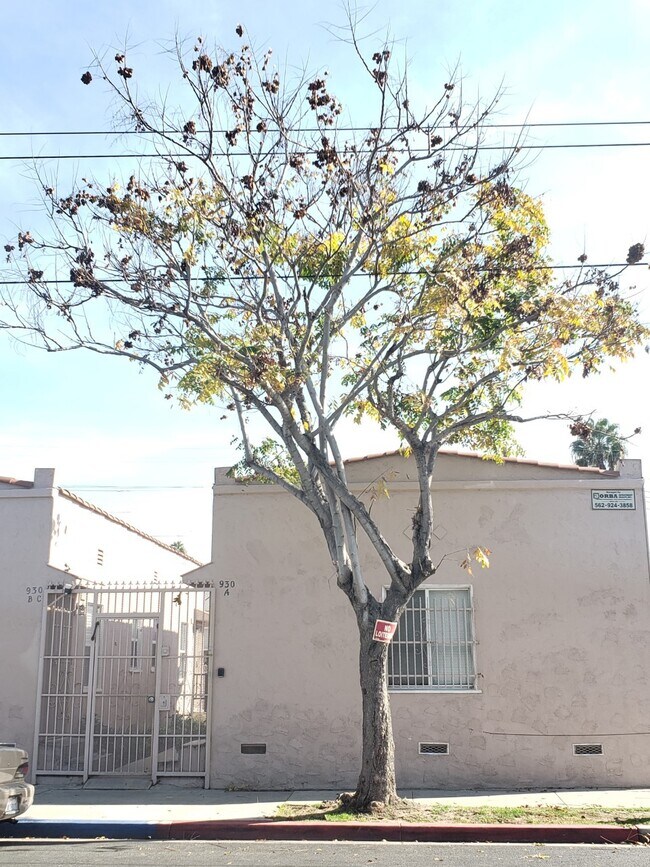 Foto del edificio - 930 Daisy Ave
