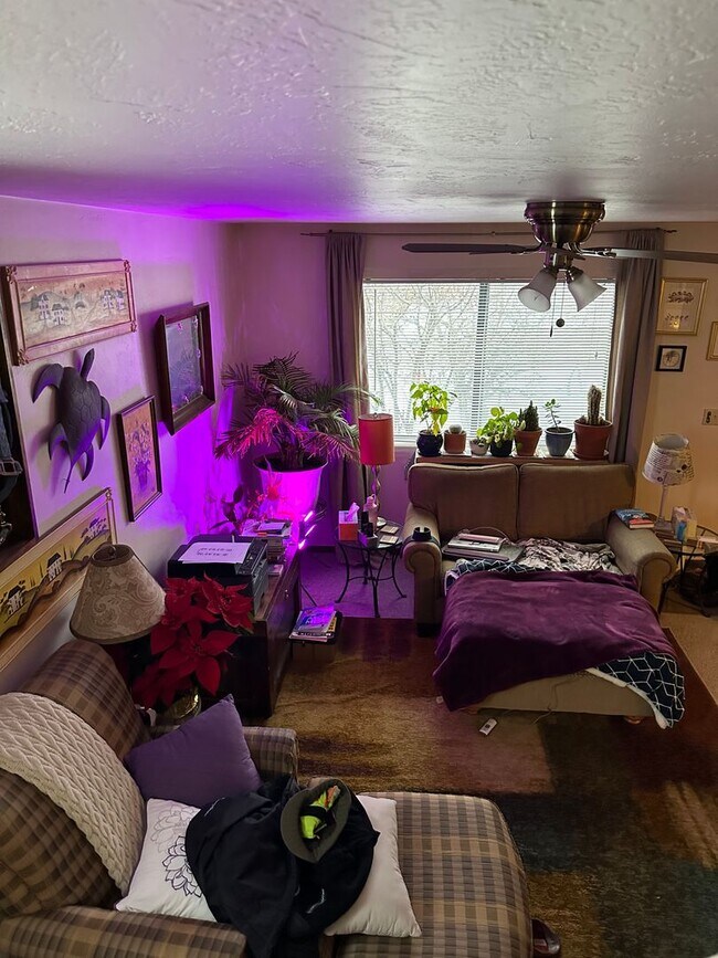 Building Photo - 100 11th St