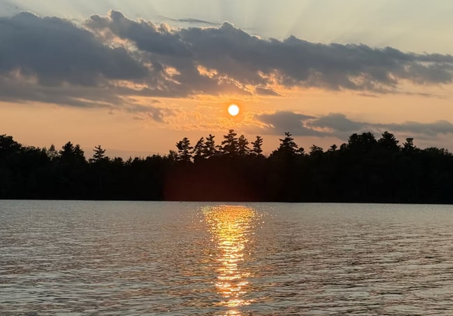 Foto del edificio - 63 Williamson Rd