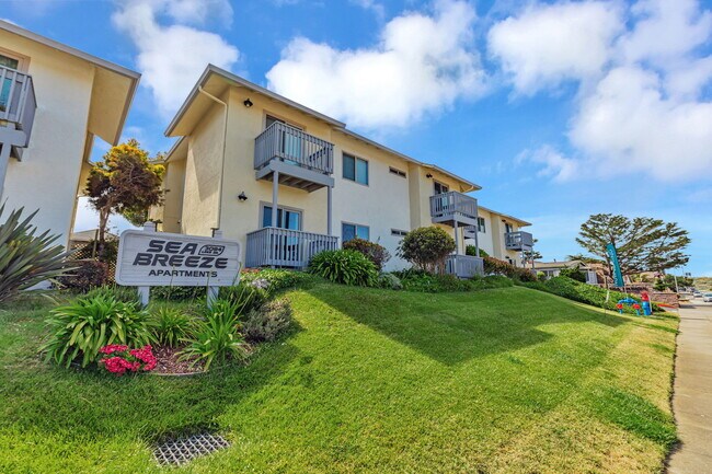 Gran entorno de puerto deportivo - Sea Breeze Apartments for rent in Marina, CA