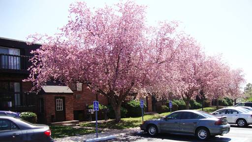 Primary Photo - 6233 W 60th Ave