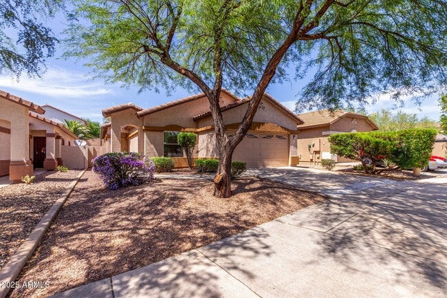 Building Photo - 2556 W Amber Sun Dr