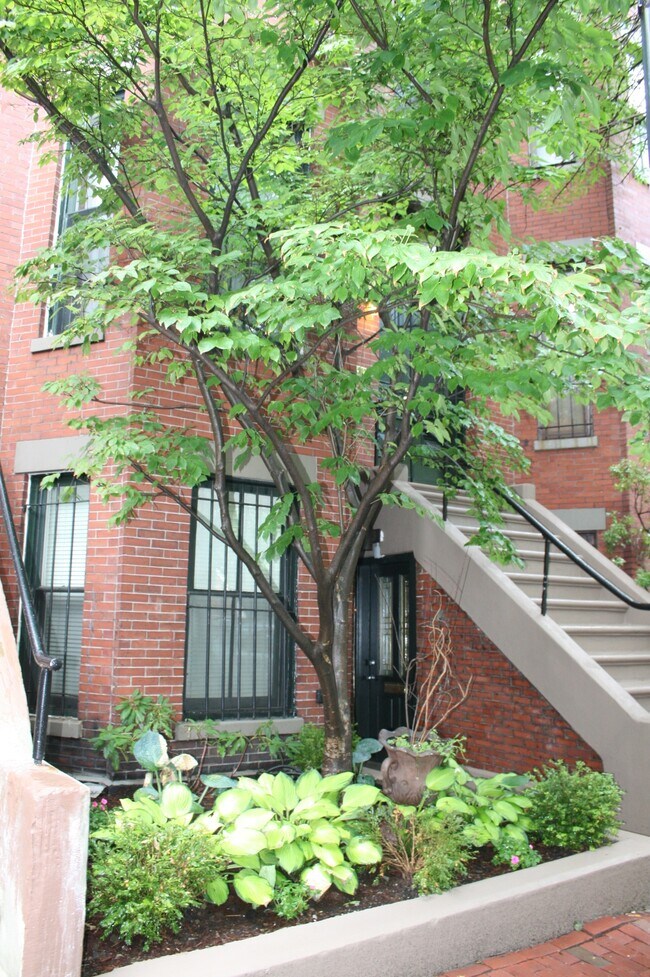 Building Photo - 34 Holyoke St