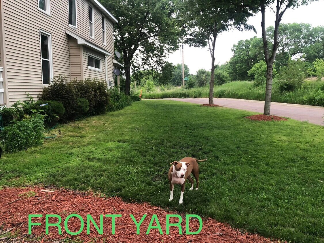 328 Carney Ave Unit downstairs, Mankato, MN 56001 Apartments in