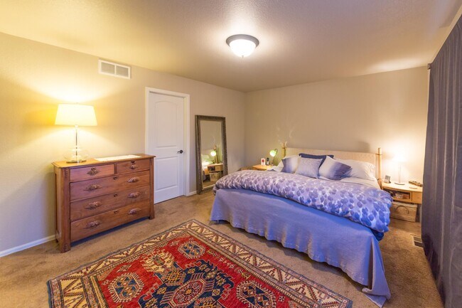 Master bedroom with large walk-in closet - 2786 Exmoor Ln