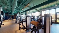 This fitness center combines an industrial-modern aesthetic with a comprehensive selection of equipment across a spacious, single-floor layout. The exposed ceiling features teal-painted ductwork and piping paired with track lighting, creating an urban, warehouse-inspired atmosphere. Large black-framed windows line the perimeter, flooding the space with natural light and offering open views of the surrounding cityscape.

The main floor is organized into distinct functional zones. A cardio area houses a row of treadmills, ellipticals, and stationary bikes, each equipped with individual screens and positioned directly in front of the expansive windows. Adjacent to this, a strength training zone offers a variety of Life Fitness selectorized machines, cable stations, and free weight equipment including kettlebells and medicine balls stored on dedicated wall racks.

Large framed mirrors are strategically positioned throughout, enhancing the sense of space. A dedicated functional training area features TRX suspension straps and open floor space with hardwood-style flooring. A notable boxing zone includes multiple heavy bags set against a textured brick accent wall, adding a dynamic training option. A utility station with a countertop and storage completes the space.
