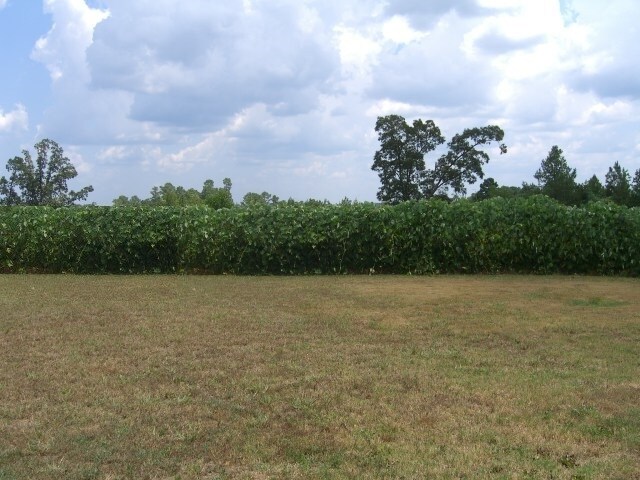 Foto del edificio - 416 Thacker Loop