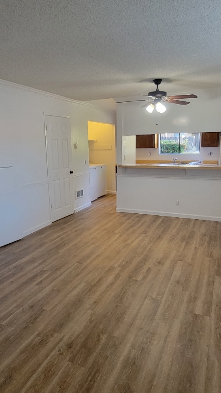 Building Photo - 1533 El Tigre Ct
