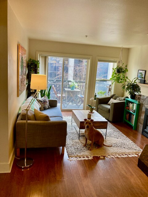 living room - 133 Queen Anne Ave N