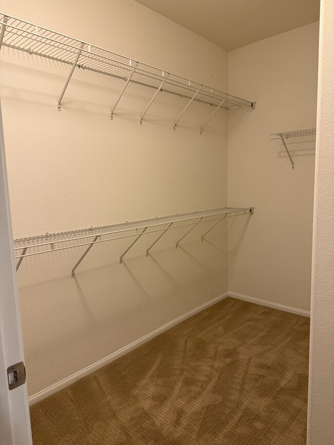 walk in master closet - 28063 Catherine Dr