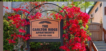 Carlton Ridge Apartments photo'