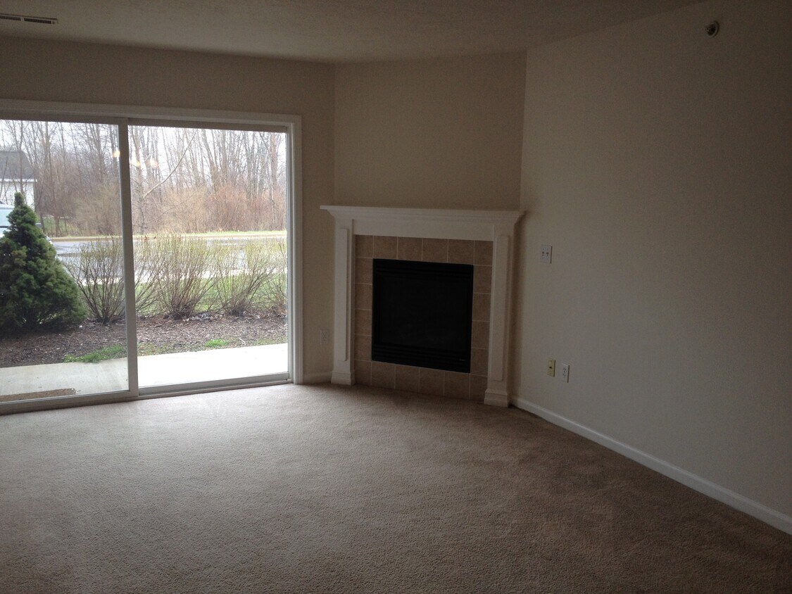 Gas Fireplace - 913 Carom Cir