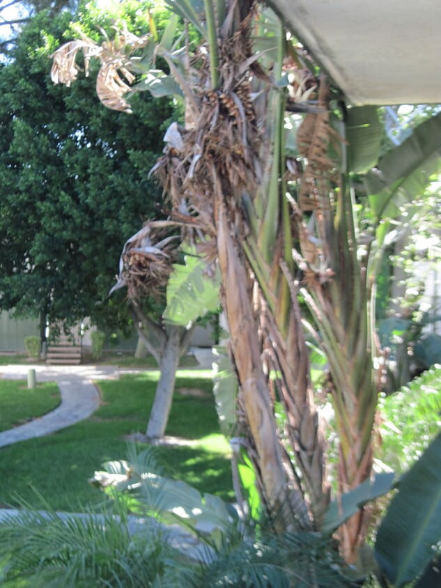 Photo - 1735 Washington St (Colton, CA)
