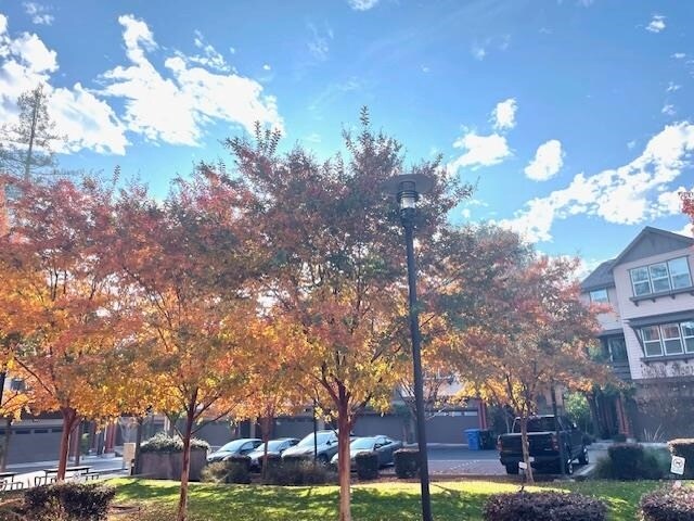 Foto del edificio - 9 Shreve Ln