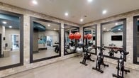 Located at 1015 Nutt St in Wilmington, North Carolina, this fitness center offers a well-appointed, single-floor space designed to support a wide range of workout routines. The facility features a cycling area equipped with stationary bikes positioned in front of large, floor-to-ceiling framed mirrors, allowing users to monitor their form during exercise. A well-stocked rack of exercise balls in varying sizes adds versatility for strength and flexibility training. The interior design is elevated by textured stone-tile accent walls that lend a modern yet warm aesthetic, complemented by recessed lighting that provides bright, even illumination throughout. Light hardwood-style flooring runs across the space, contributing to a clean and energetic atmosphere. Reflected in the mirrors, a separate studio area is visible, featuring suspension training equipment such as TRX straps and additional cardio machines, suggesting the facility is designed to accommodate both group fitness and individual training. The overall ambiance is polished and professional, making it a functional and visually appealing environment suited to a variety of fitness goals.