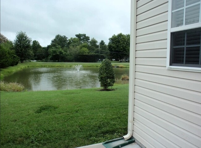 back yard/pond - 1001 Meadow View Dr