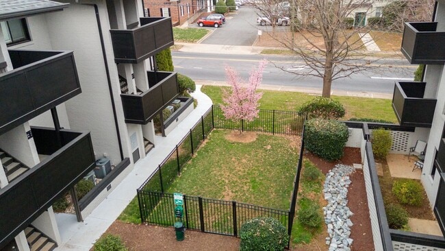 Interior Photo - Elizabeth Green