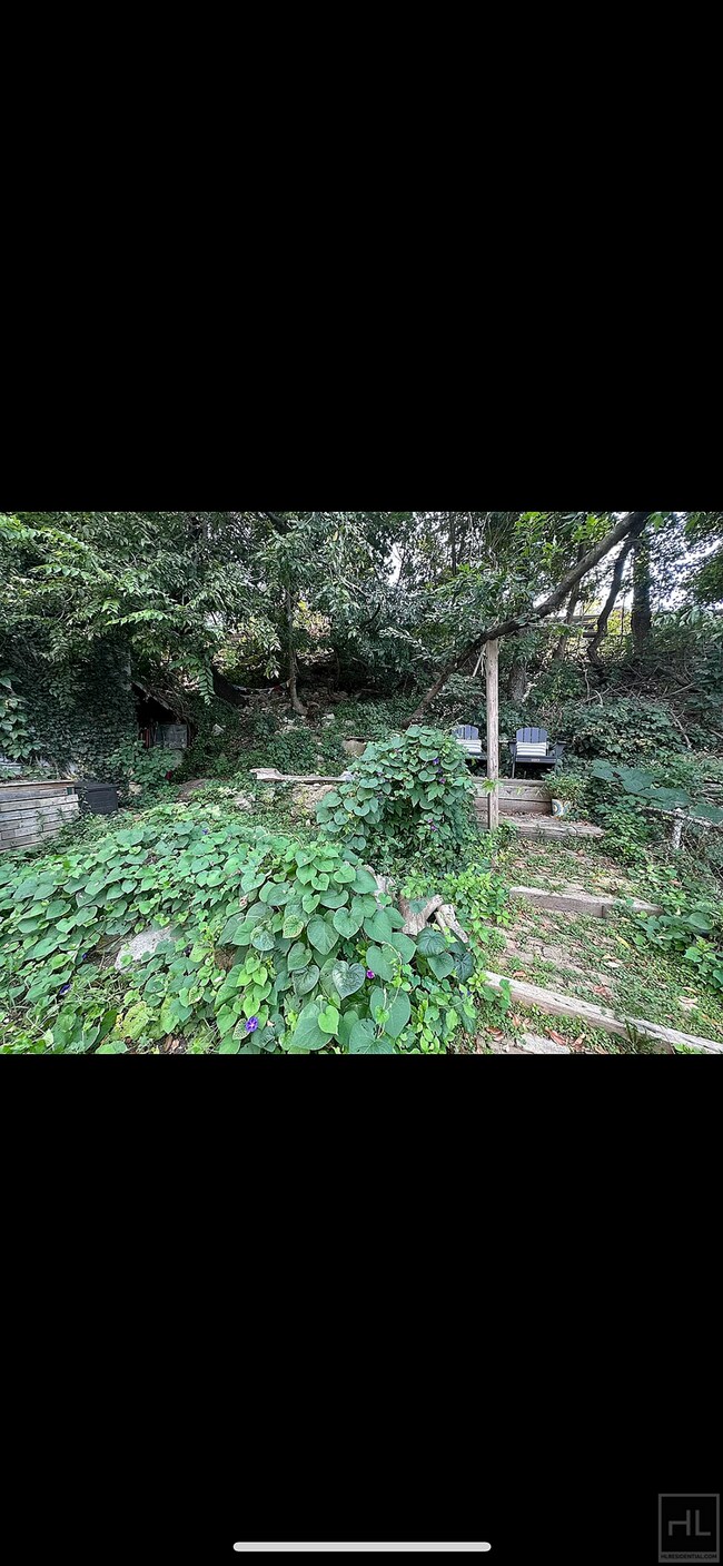 Foto del edificio - 4.5BR 2BA Parlor Level Victorian w/ Privat...