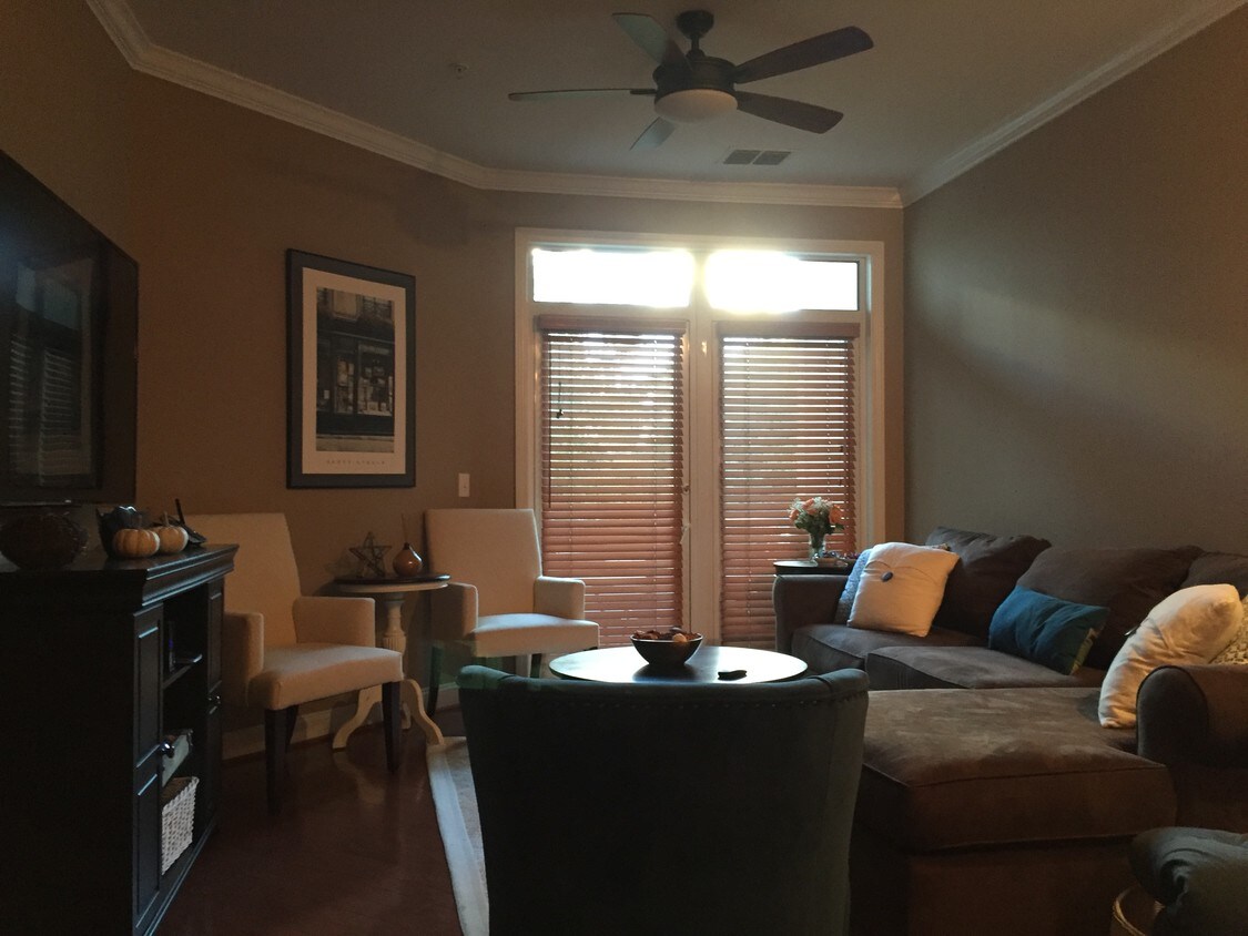 spacious, light-filled living room - 1391 Pennsylvania Ave SE