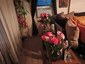 Building Photo - 419 Fremont St