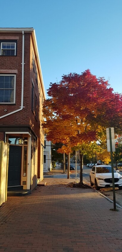 Street View - 241 Cumberland Ave