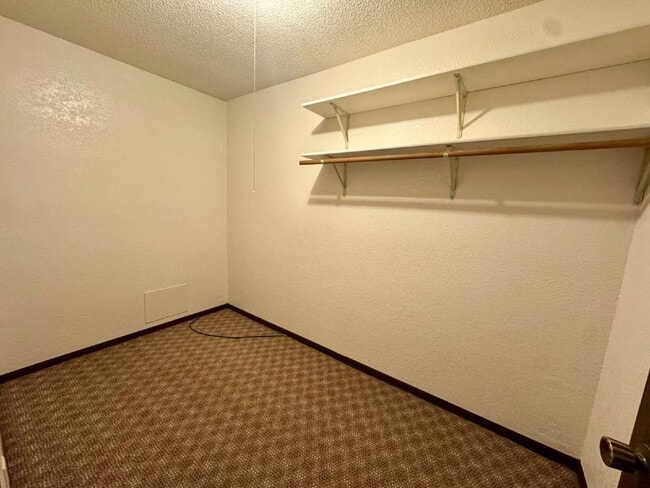 Building Photo - 2-3 3 Michael St