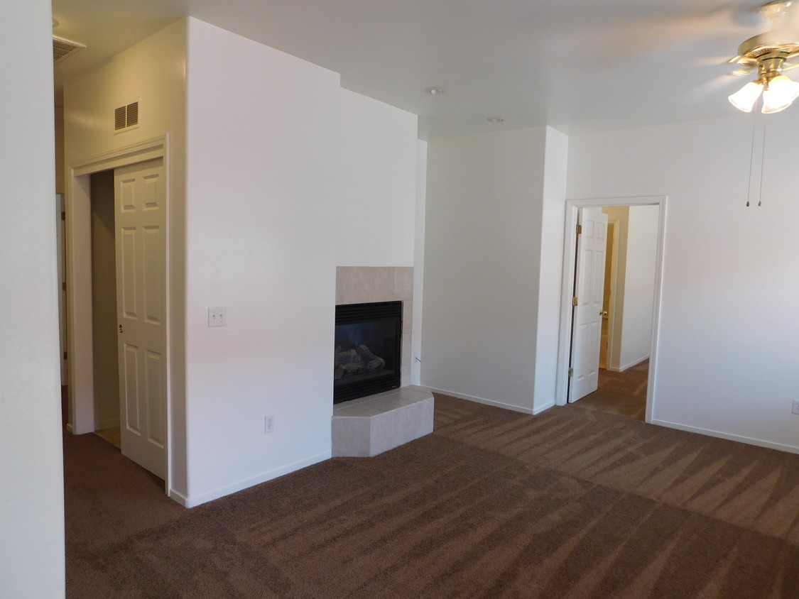 Fireplace in living room - 554 Yellow Meadow Ct