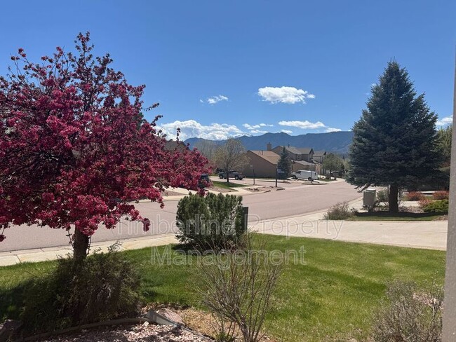 Foto del edificio - 16259 Windy Creek Dr