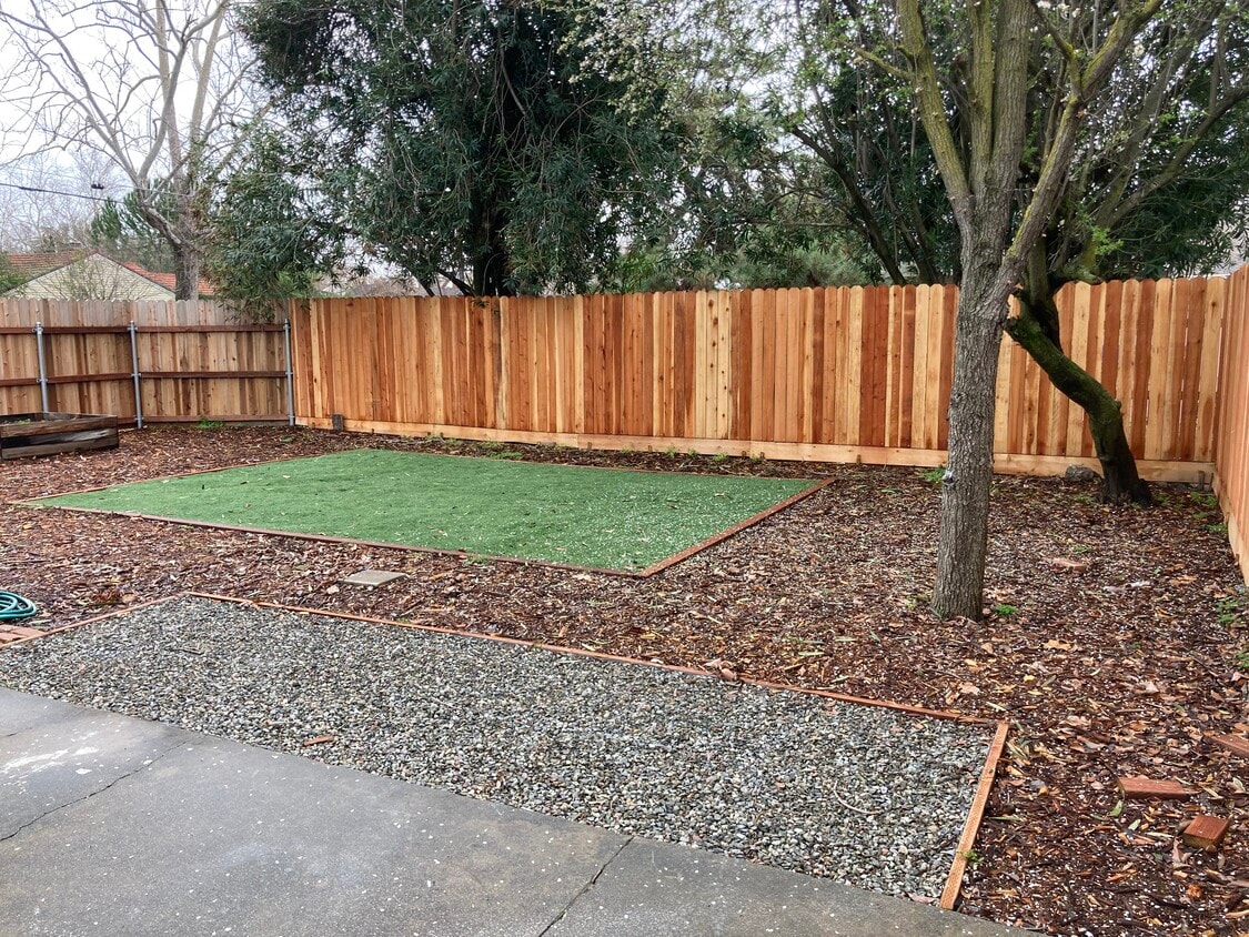 Backyard - 1168 West Cir