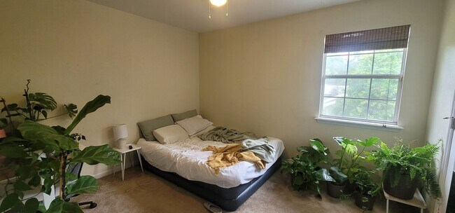 Foto del edificio - CLOSE TO CAMPUS 3/3 w/ Washer/Dryer, Stainless Appliances, Lawn Maintenance Included, & More! $19...