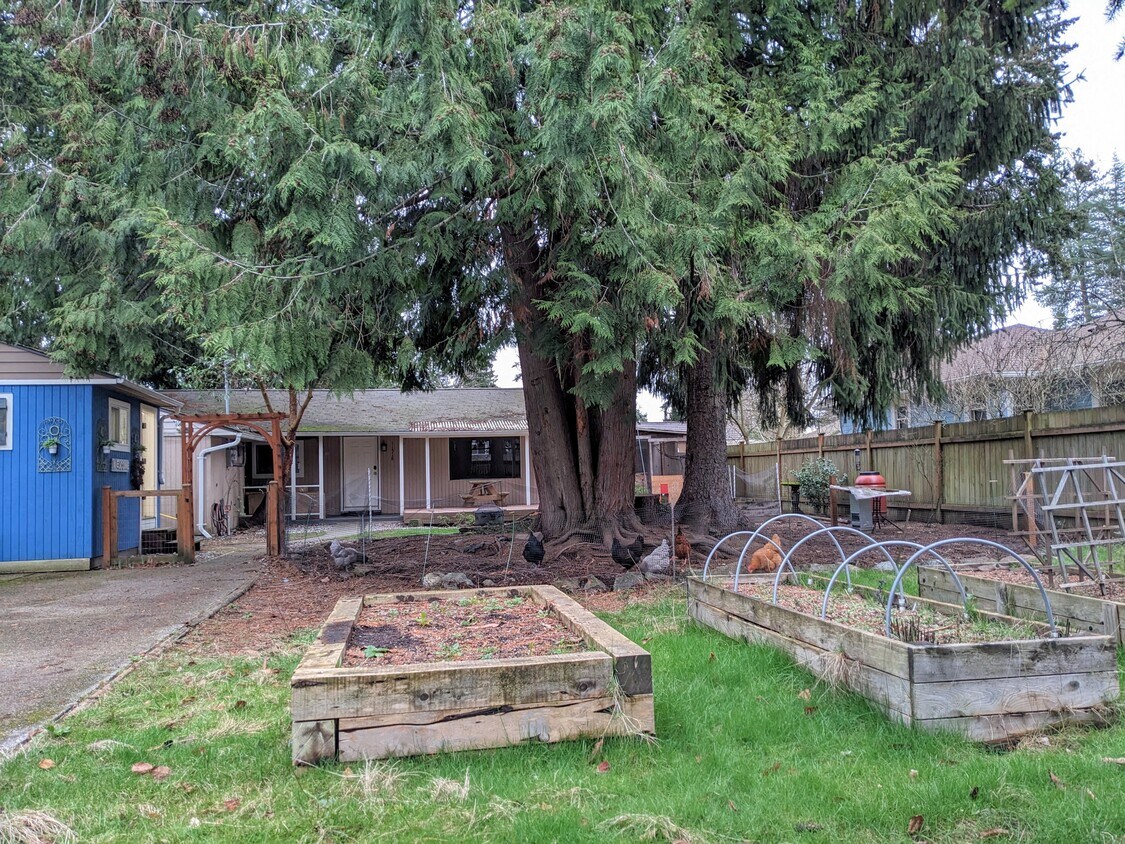 Primary Photo - 11518 30th Ave NE