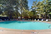 This outdoor aquatic amenity space offers a serene and inviting retreat set against a backdrop of tall, mature pine and deciduous trees that provide natural shade and a sense of privacy. The centerpiece is a generously sized, freeform swimming pool with clear turquoise water, accessible via stainless steel entry rails and marked with shallow-end depth indicators for safety. The pool is designated as a no-diving area, reinforcing its family-friendly design.

Surrounding the pool is a spacious concrete deck that accommodates a generous arrangement of lounge chairs and a shaded outdoor dining set complete with a patio umbrella, ideal for relaxing or socializing in the sun. The pool area is enclosed by a secure iron gate with controlled access, enhancing both safety and privacy for users.

A pool house structure anchors one side of the space, featuring a covered entrance with white columns, wall-mounted lighting, restroom access, and posted safety and pool rule signage. The building's neutral siding and pitched roofline blend harmoniously with the natural surroundings.

The entire area is enveloped by a lush tree line, creating a secluded, park-like atmosphere. On clear days, the open sky above floods the space with abundant natural light, making this outdoor facility a refreshing and well-equipped destination for leisure and recreation.