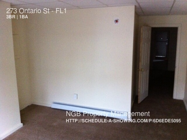 Building Photo - 273 Ontario St