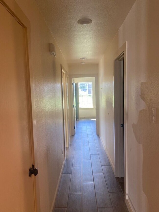 Foto del edificio - 2305 Bachelor Button Blvd