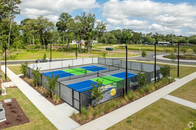 Pickleball Courts - Preserve at Hanover Park Apartments