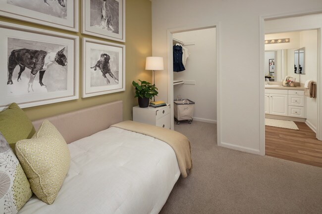 Vista Real Apartment Homes Apartments Mission Viejo Ca Building Photo Vista Real Apartment Homes