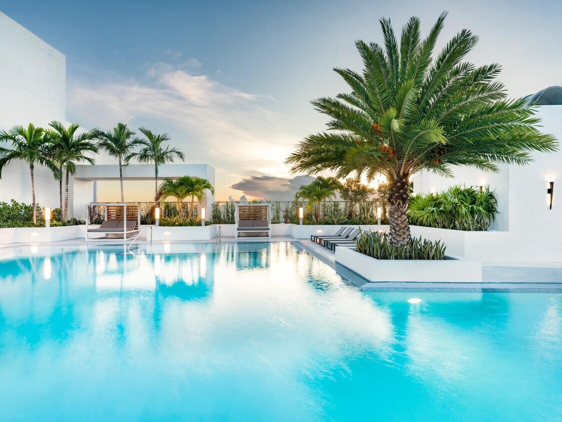 Los reflejos del atardecer y las palmeras tropicales hacen de la piscina en la azotea de Modera Riverside un destino elegante de Miami. - Modera Riverside