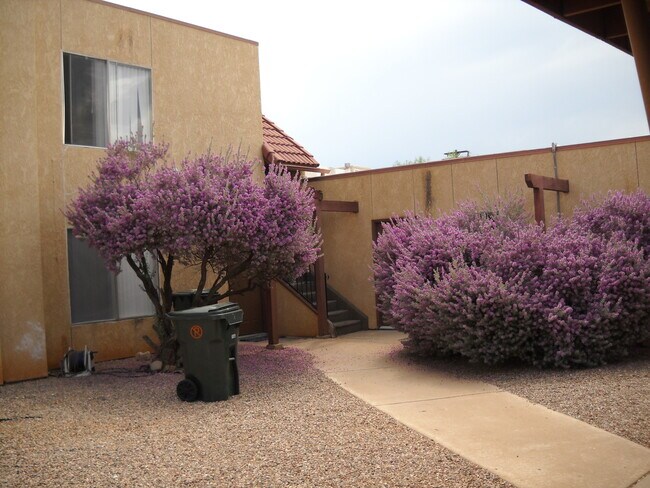 Foto del edificio - 2BR/1BA 827 sq.ft. rental in Sierra Vista, AZ
