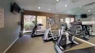 This fitness center offers a comprehensive workout environment designed to support a variety of exercise routines. The space is thoughtfully laid out across a single floor, with carpeted flooring throughout and neutral warm-toned walls that create a focused yet welcoming atmosphere.

The cardio area is prominently featured along the windowed wall, where large windows flood the space with natural light and provide views of the surrounding outdoor greenery. Equipment includes a treadmill, elliptical trainer, and Cybex stationary bikes, all positioned to take advantage of the natural light and outdoor scenery.

For strength training, the fitness center is outfitted with a multi-station cable machine and additional weight equipment, including benches suitable for a range of exercises. Full-length mirrors line one wall, enhancing the sense of space and allowing users to monitor their form during workouts.

Recessed ceiling lighting supplements the natural light, ensuring the space remains well-lit throughout. Wall-mounted flat-screen TVs are strategically placed to keep members entertained during workouts. Entry is through a glass-paneled door, and windows on multiple walls provide views of the exterior walkways and landscaping. The overall ambiance is clean, practical, and inviting, making it a functional amenity for daily fitness routines.
