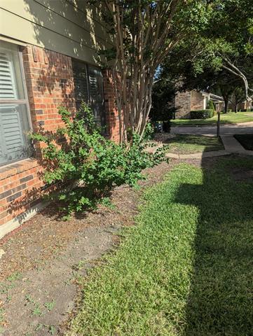 Foto del edificio - 1805 W Spring Creek Pkwy