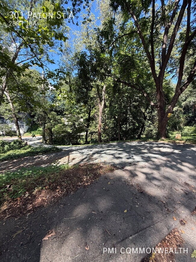 Building Photo - 301 Paton St