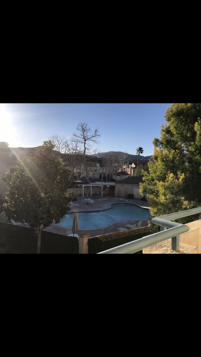 Pool view - 18205 Flynn Dr
